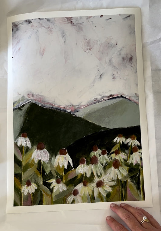 Daisy field
