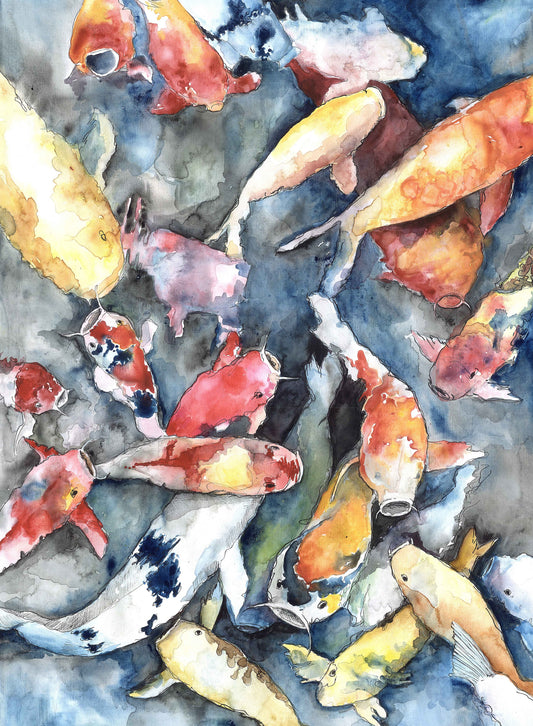 Koi