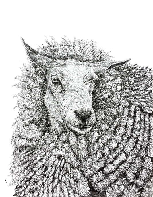 Shawn the Sheep