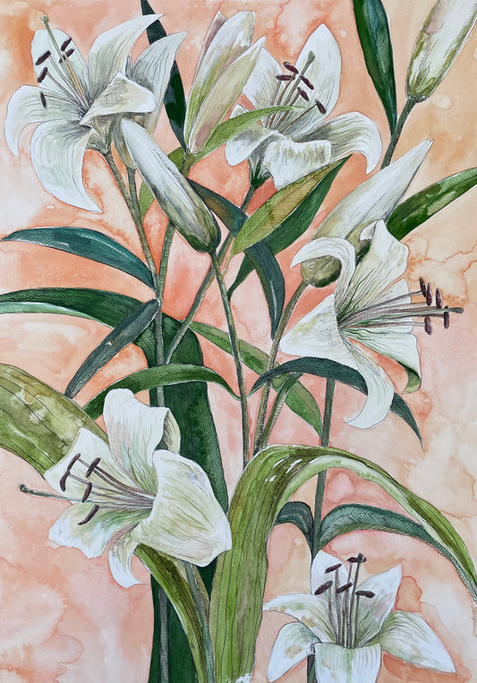 Lillies
